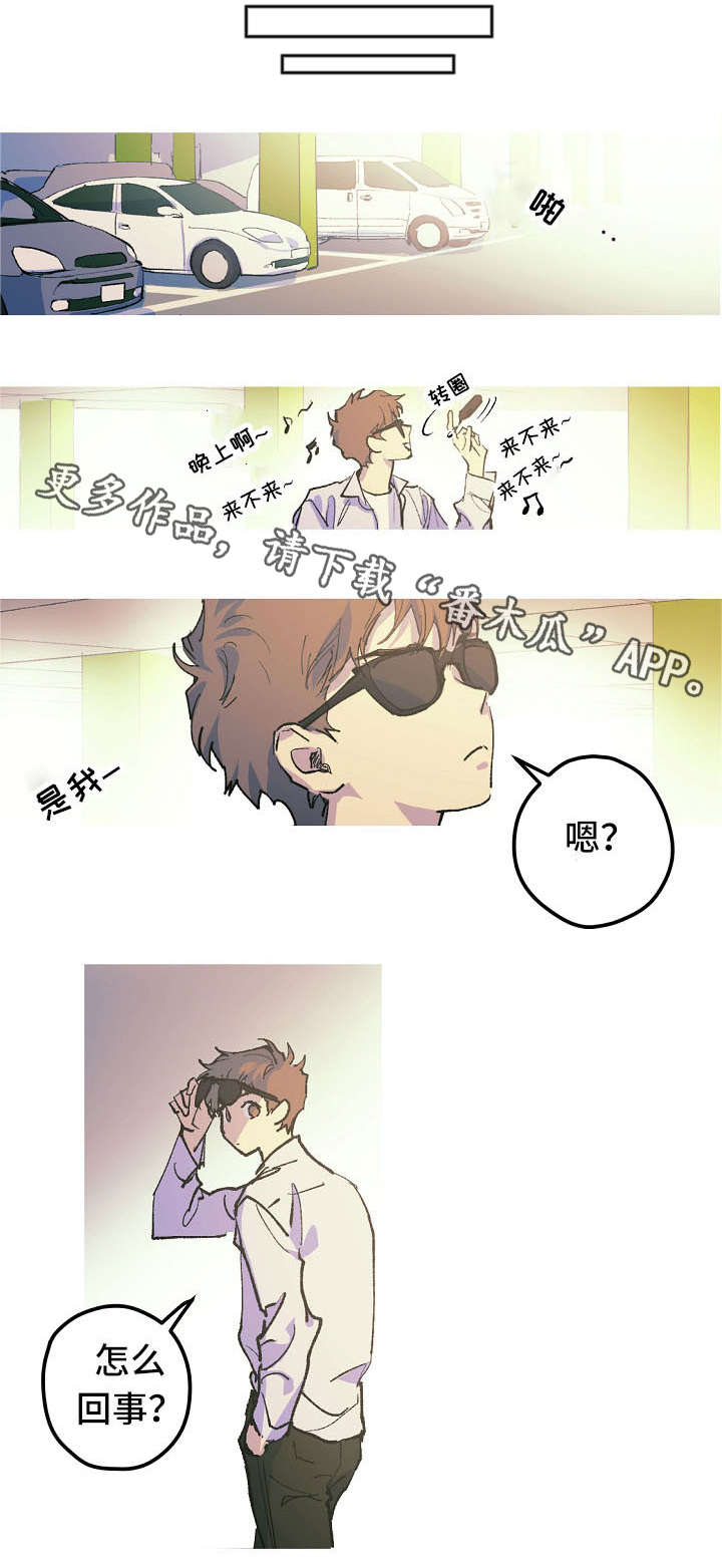 全面霸占漫画,第11章：停车场的猫3图