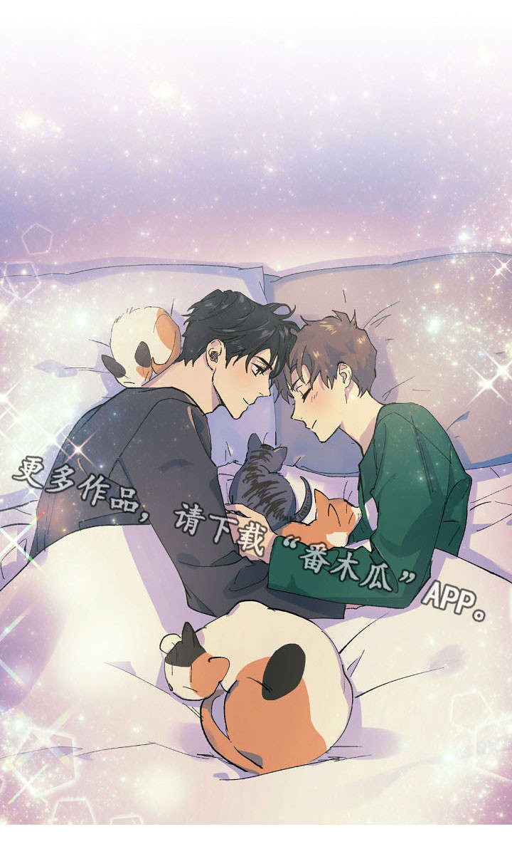 全面霸占漫画,第19章：人形猫架5图