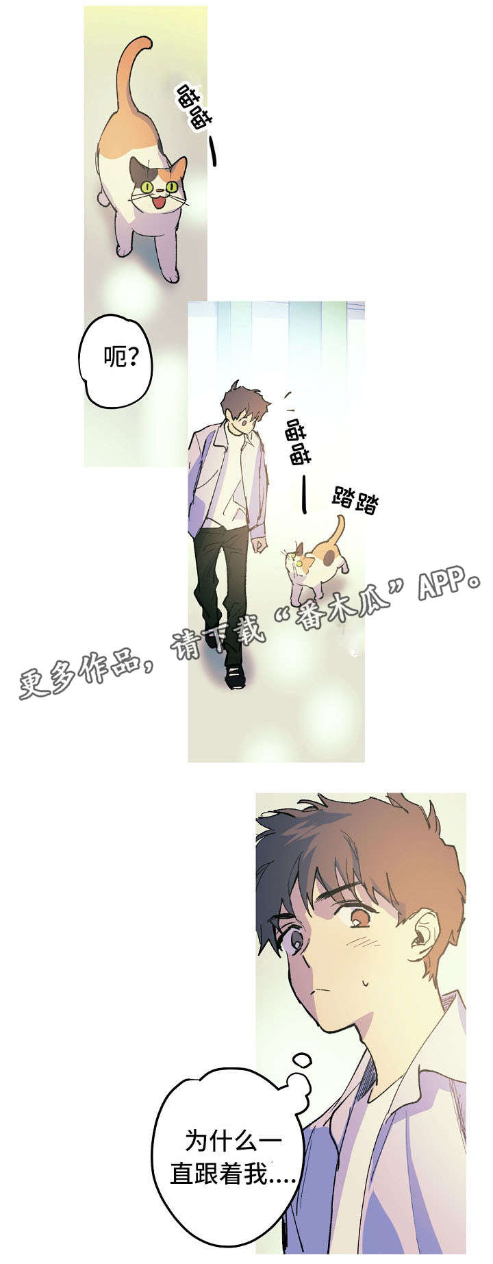 全面霸占漫画,第11章：停车场的猫1图