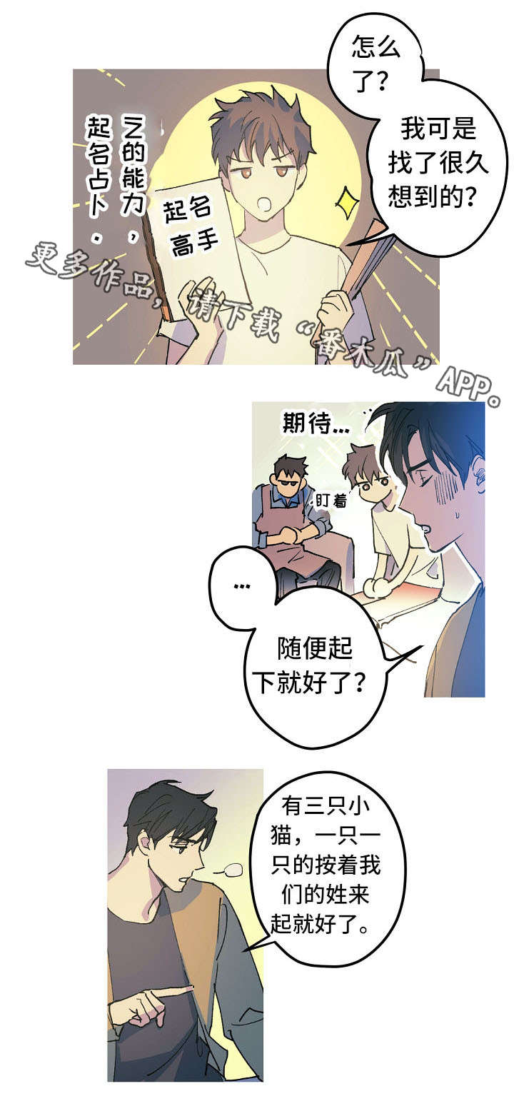 全面霸占漫画,第18章：取名风波3图
