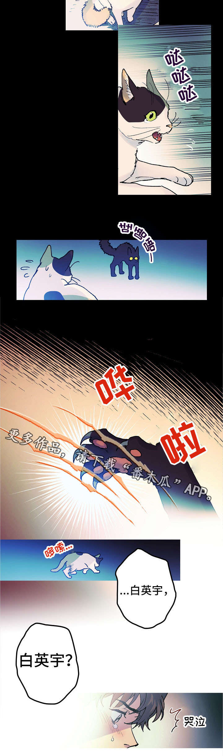 全面霸占漫画,第14章：猫咪的梦4图