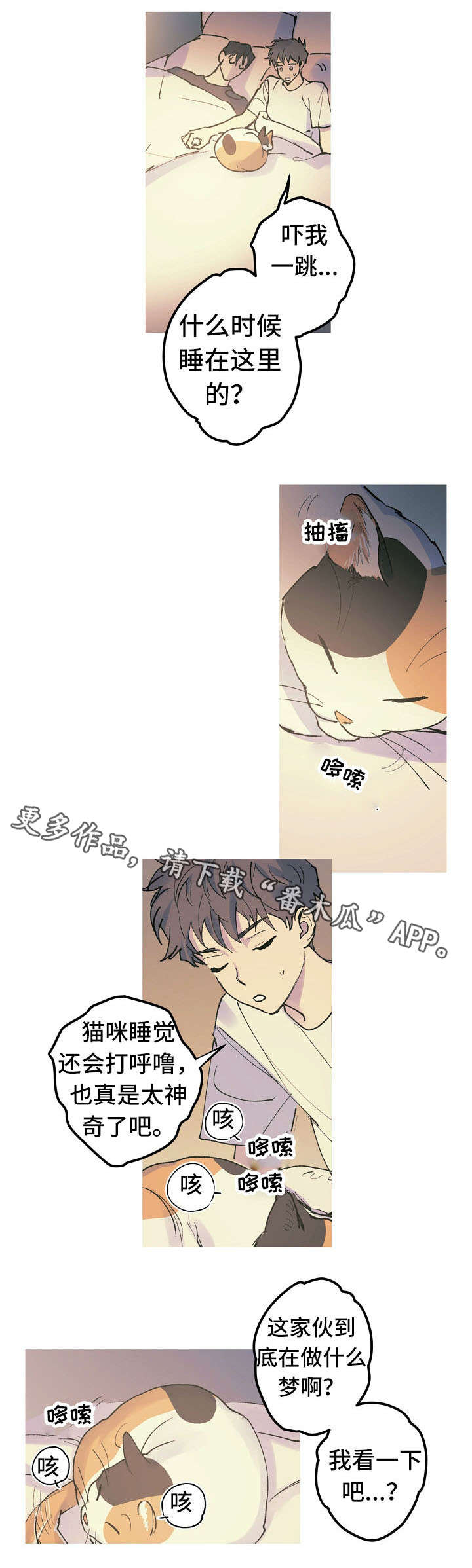 全面霸占漫画,第14章：猫咪的梦5图