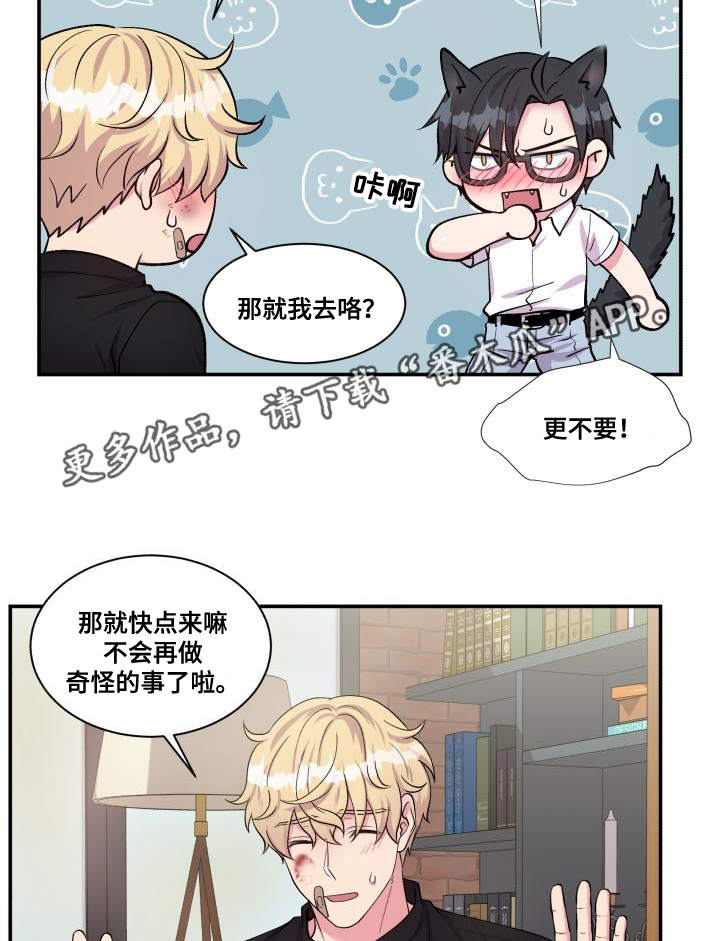 双面教授漫画,第74章：恋人的事4图