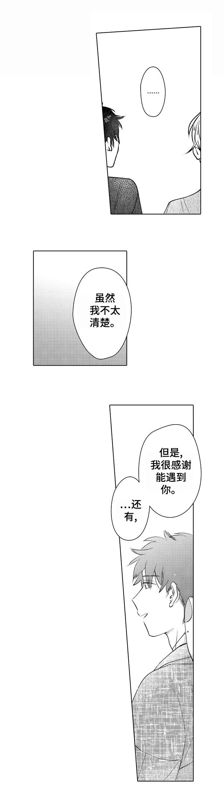 石油王的爱人漫画,第28章：庆典（完结）1图