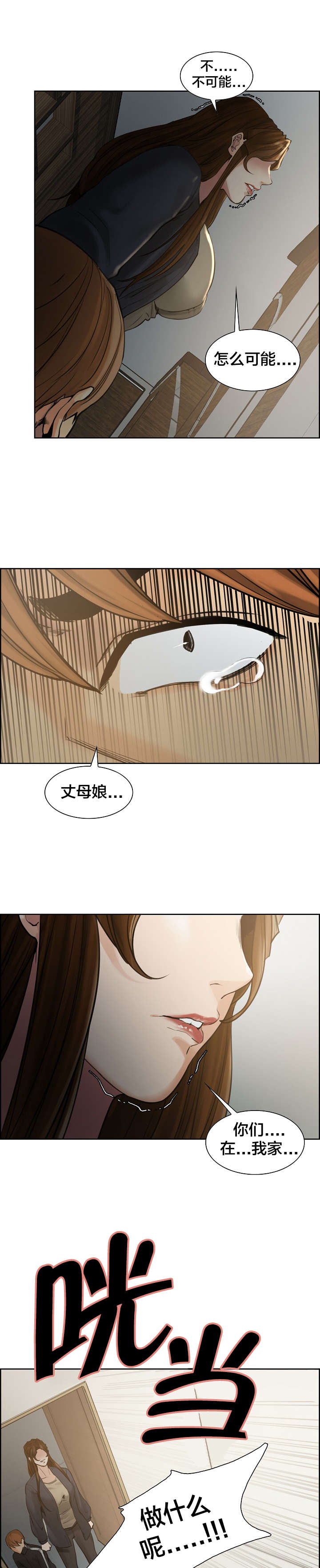 郑女婿漫画,第20章：出轨3图