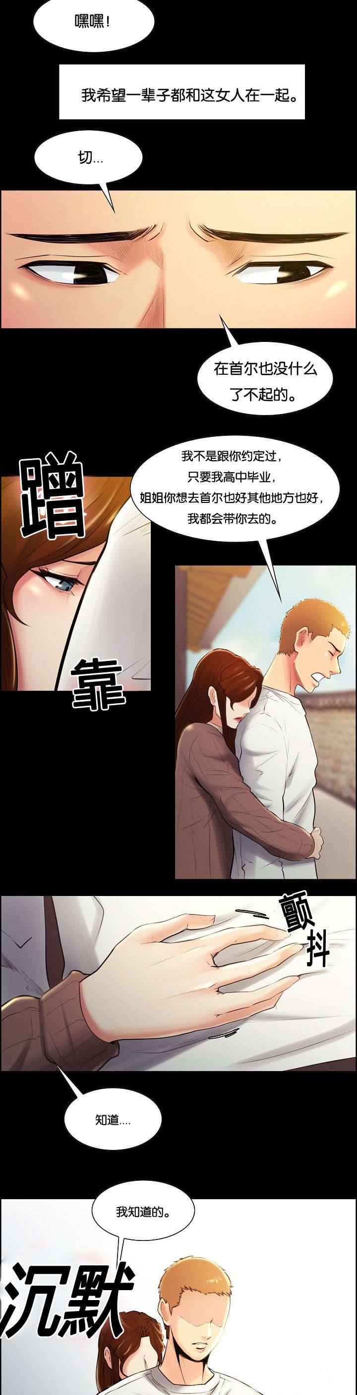 郑女婿漫画,第53章：过去2图