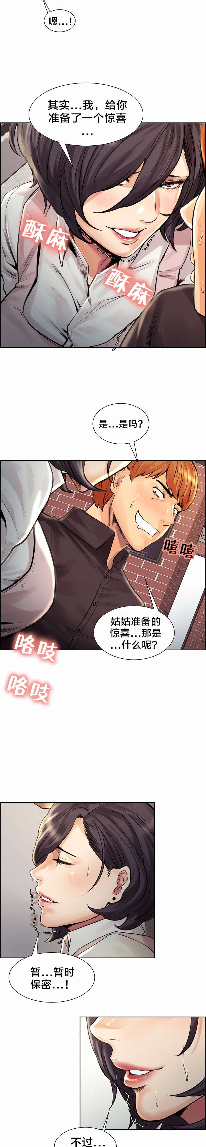 郑女婿漫画,第31章：惊喜3图