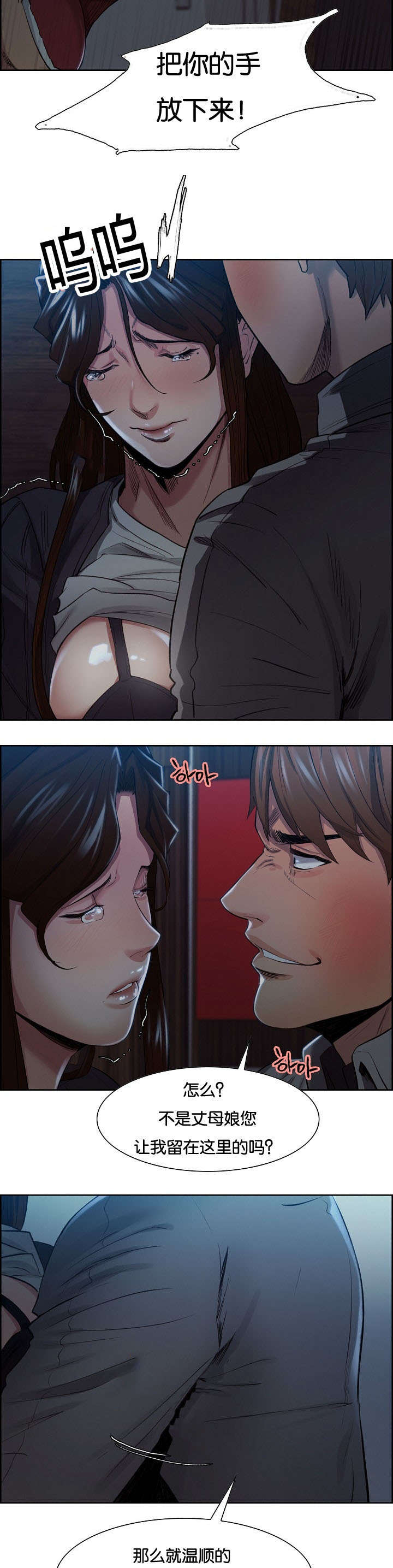 郑女婿漫画,第51章：哭泣4图