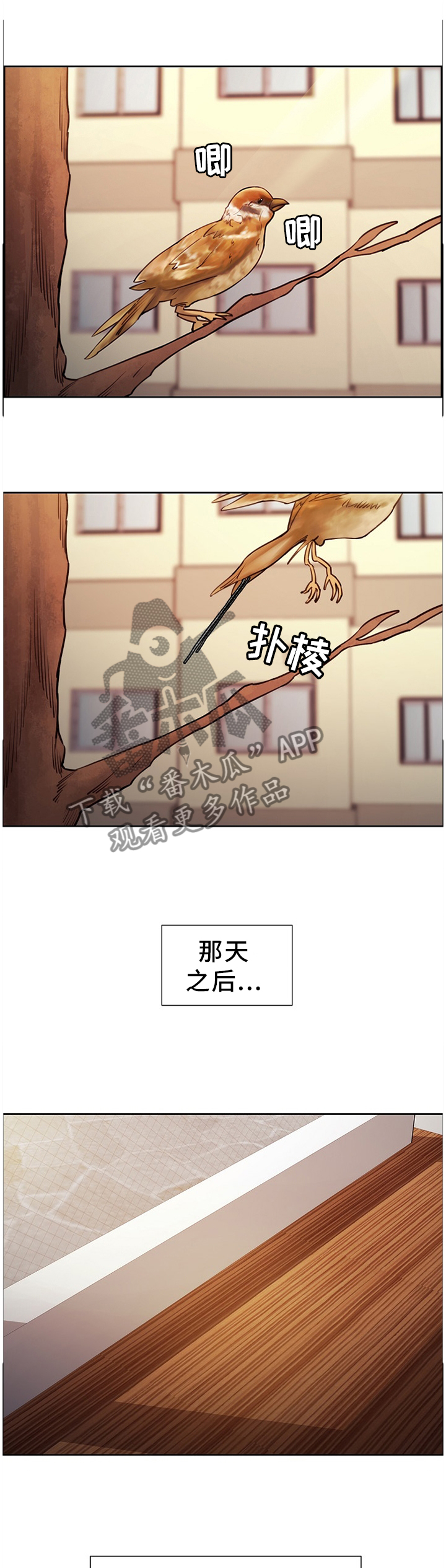 郑女婿漫画,第64章：终归平静5图