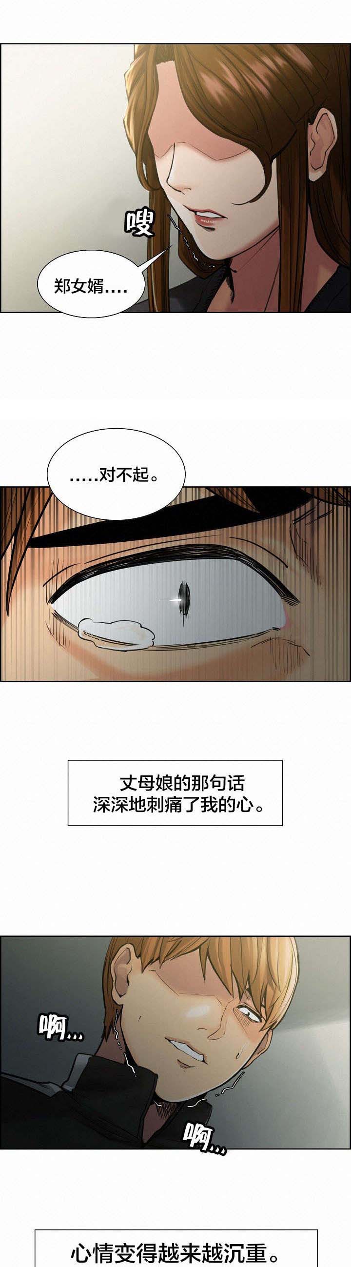 郑女婿漫画,第20章：出轨3图
