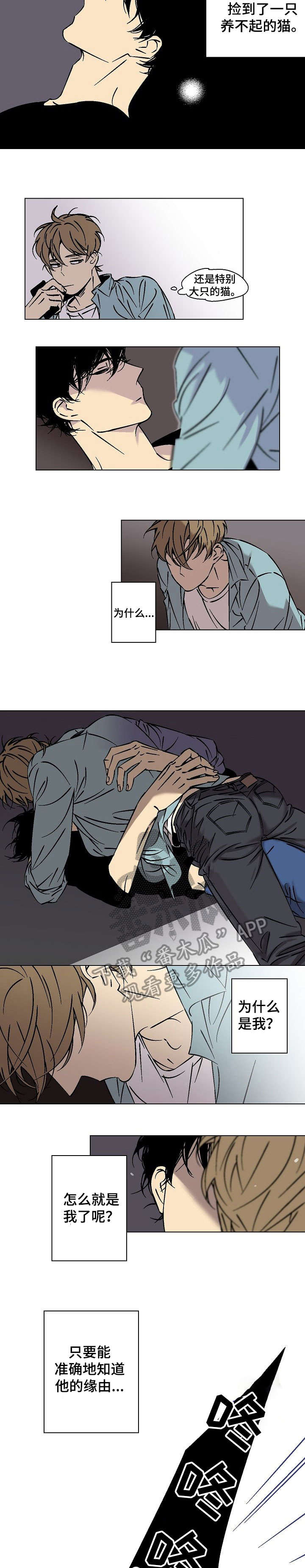 独家合同漫画,第18章：好重5图