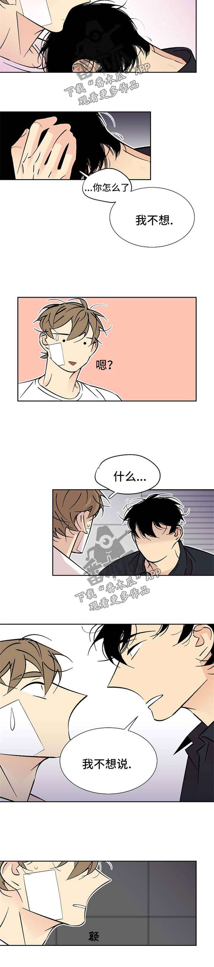 独家合同漫画,第95章：体贴3图