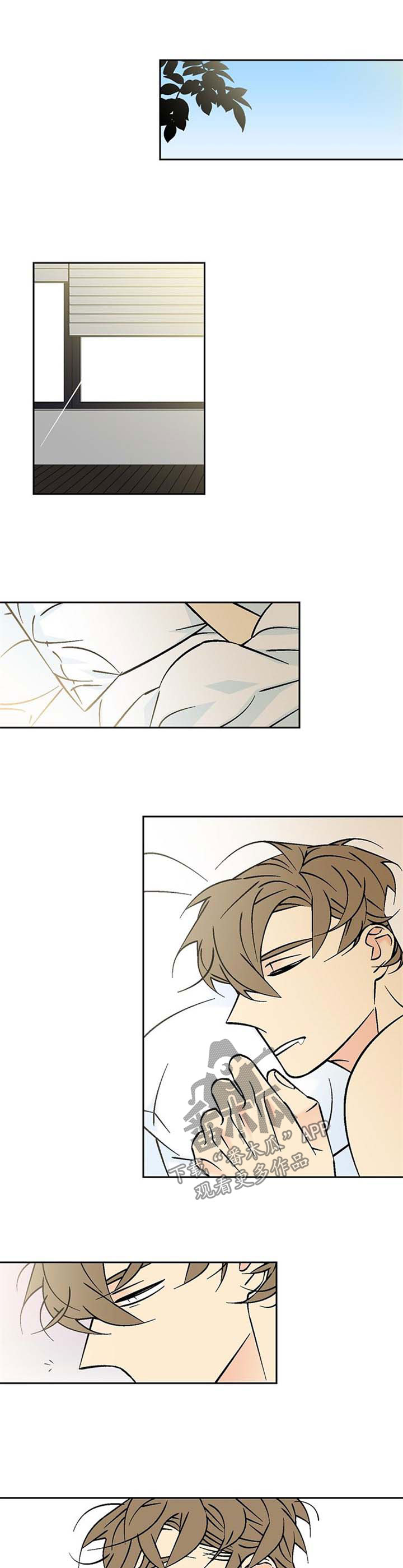 独家合同免费漫画,第81章：清醒1图