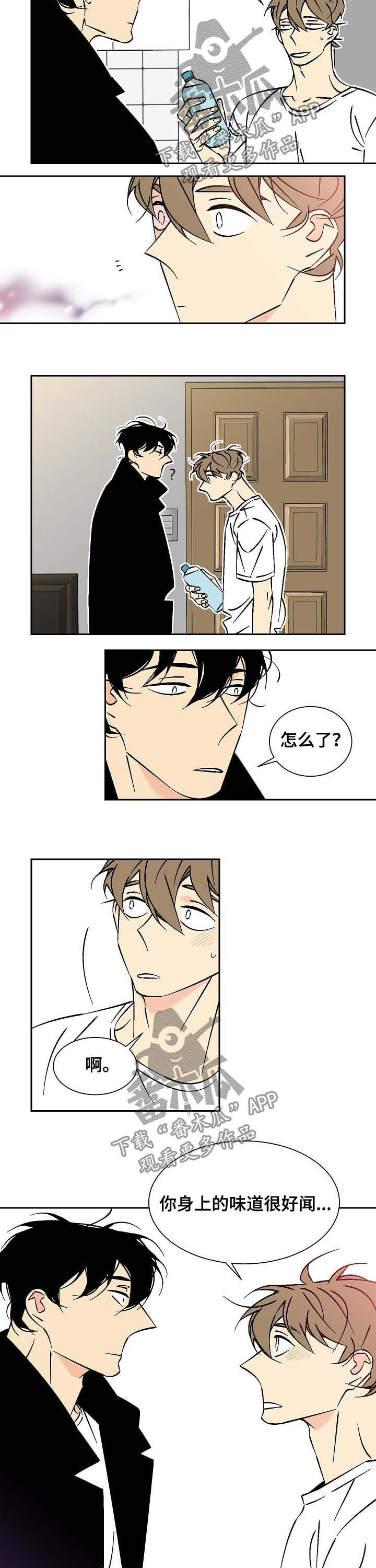 独家合同漫画,第61章：深夜5图