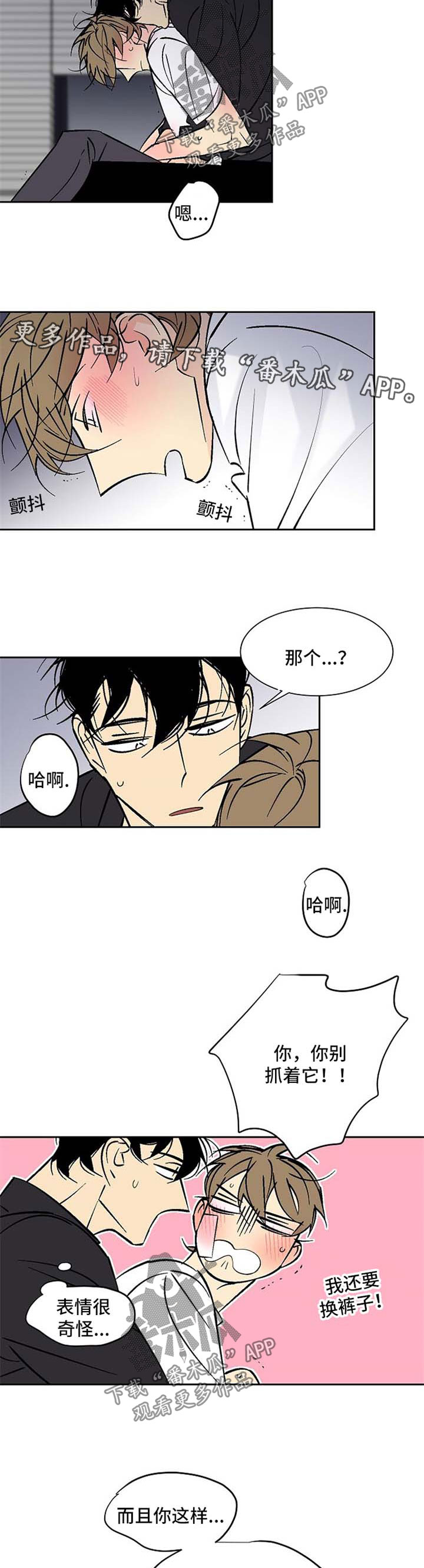 独家合同条款是什么样漫画,第104章：害羞1图