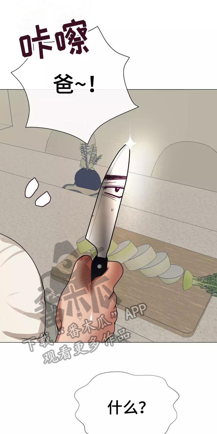 哥哥的家人漫画,第11章：暂住2图