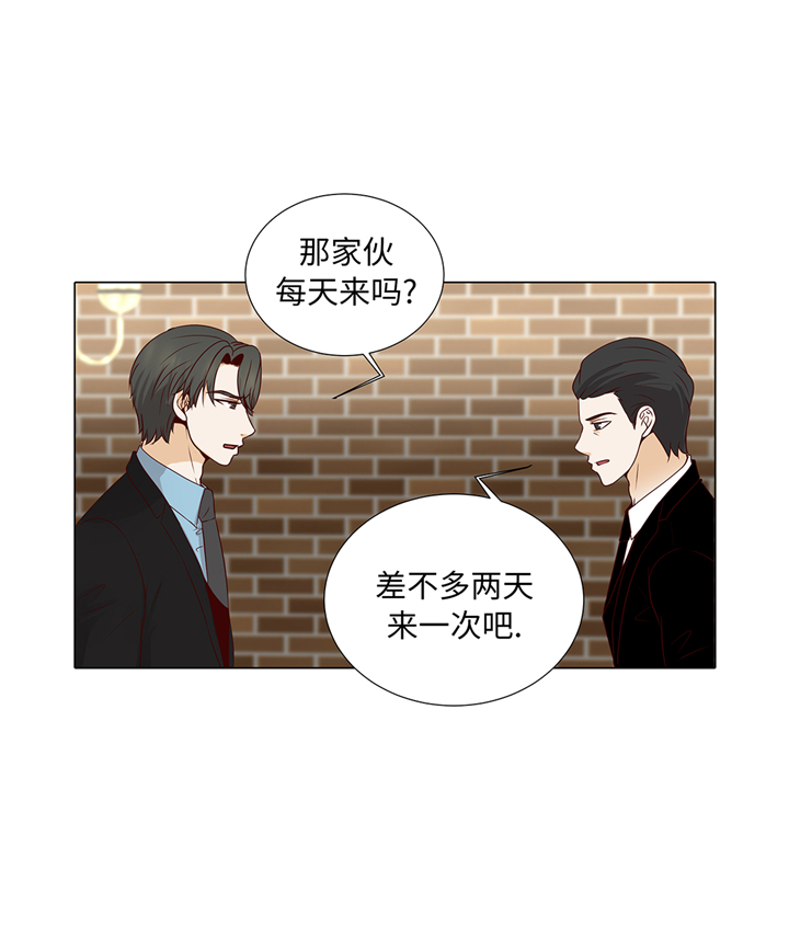 魔王的阴差漫画,第85章：我弄死你2图