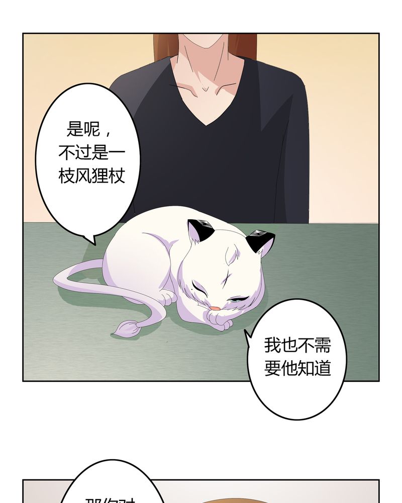 异卷风华录漫画,第19章：新的挑战2图