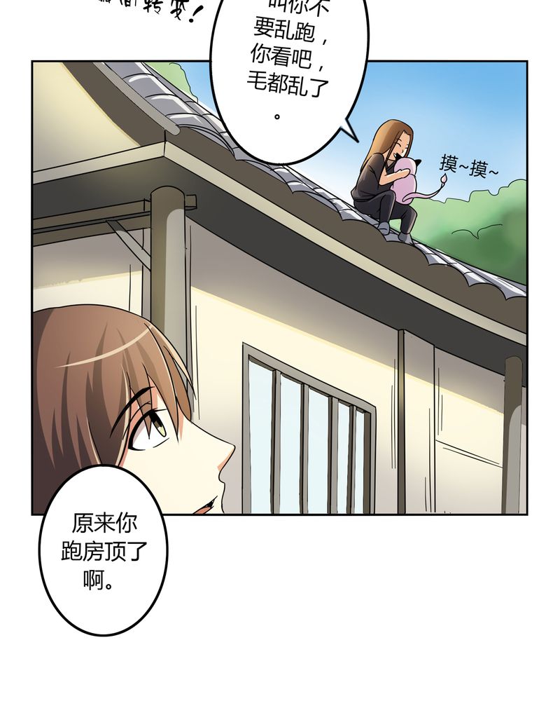 异卷风华录漫画,第55章：消失的灵力4图