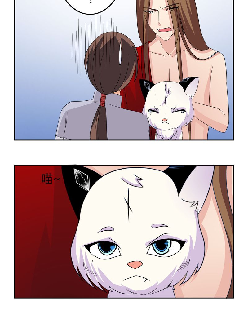 异卷风华录漫画,第17章：投票开始4图