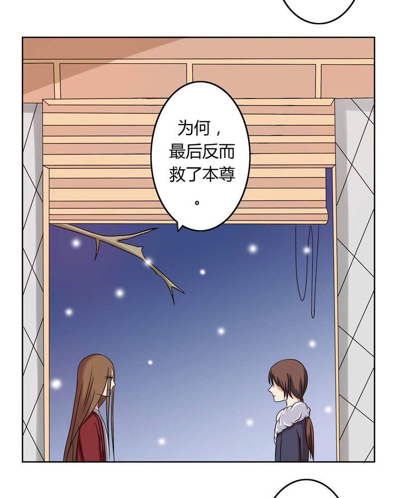 异卷风华录漫画,第30章：霜雪满头3图