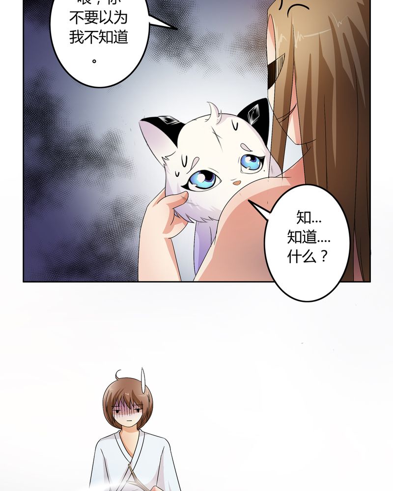 异卷风华录漫画,第49章：宠妻狂魔3图