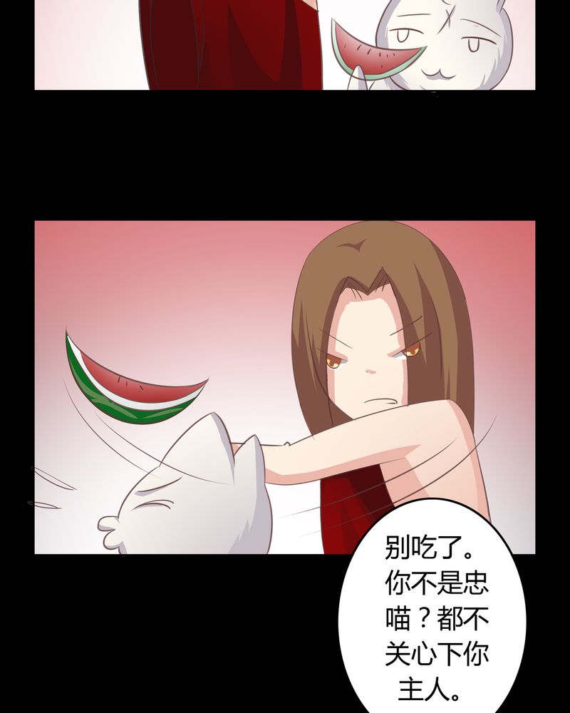 异卷风华录漫画,第14章：一醉千年5图