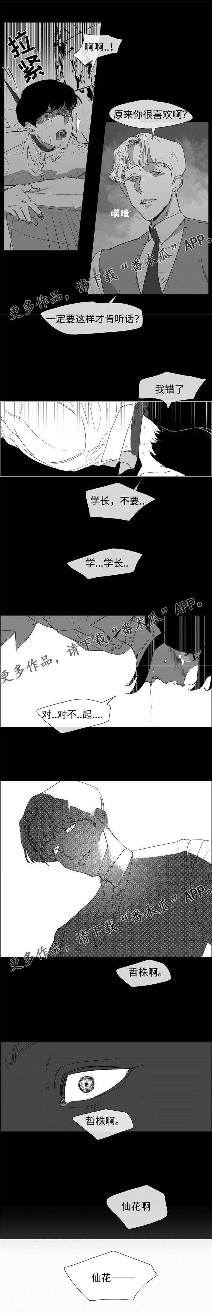 白水仙漫画,第13章：同居三天1图