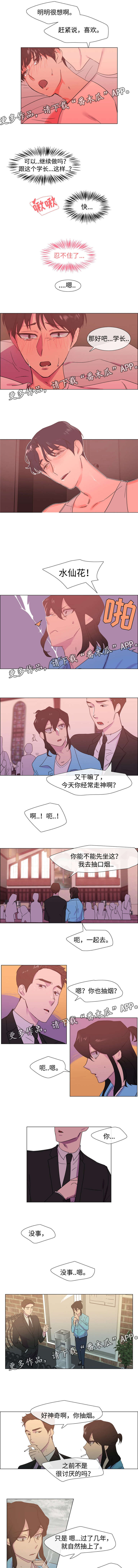 白水仙漫画,第19章：他的婚礼2图