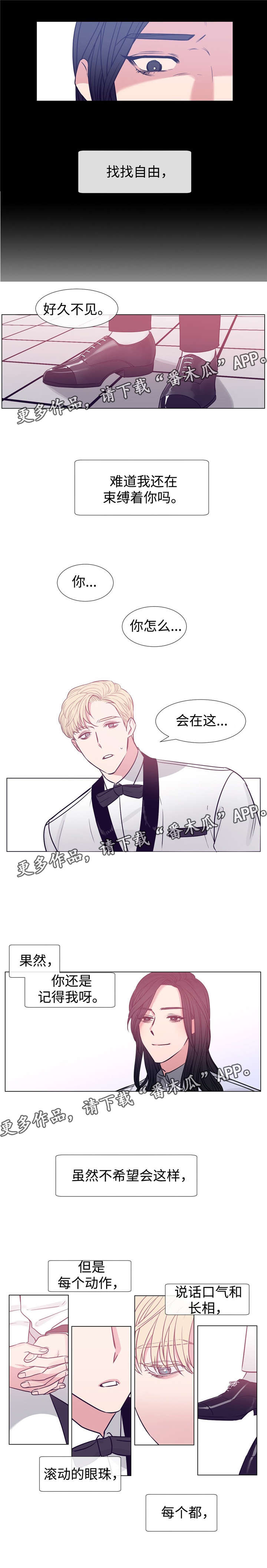 白水仙纯玩一日游漫画,第78章：是你3图