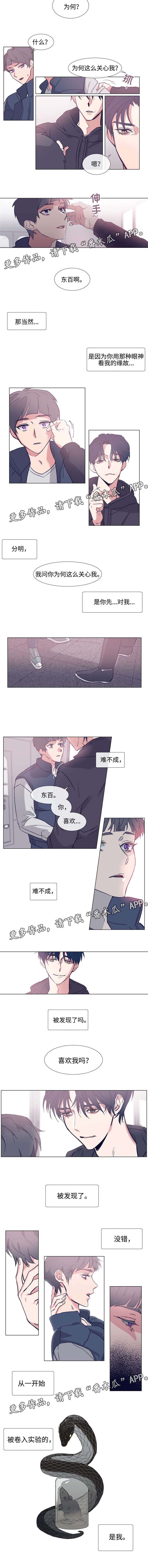 白水仙纯玩一日游漫画,第66章：花心2图