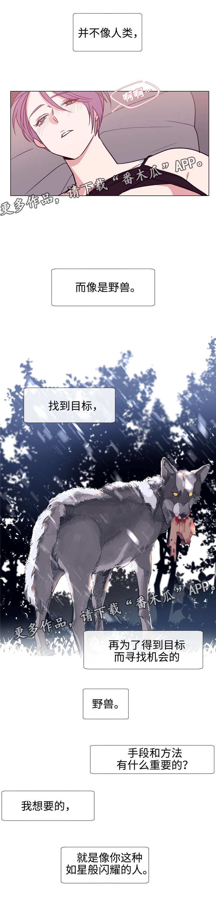 白水仙漫画,第84章：得到你3图