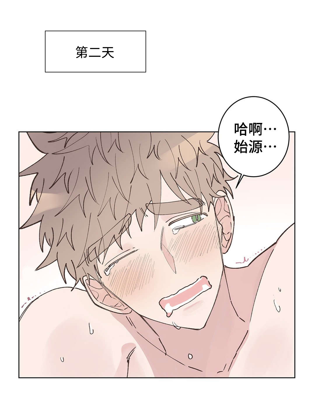 校医老师漫画,第18章：安排4图