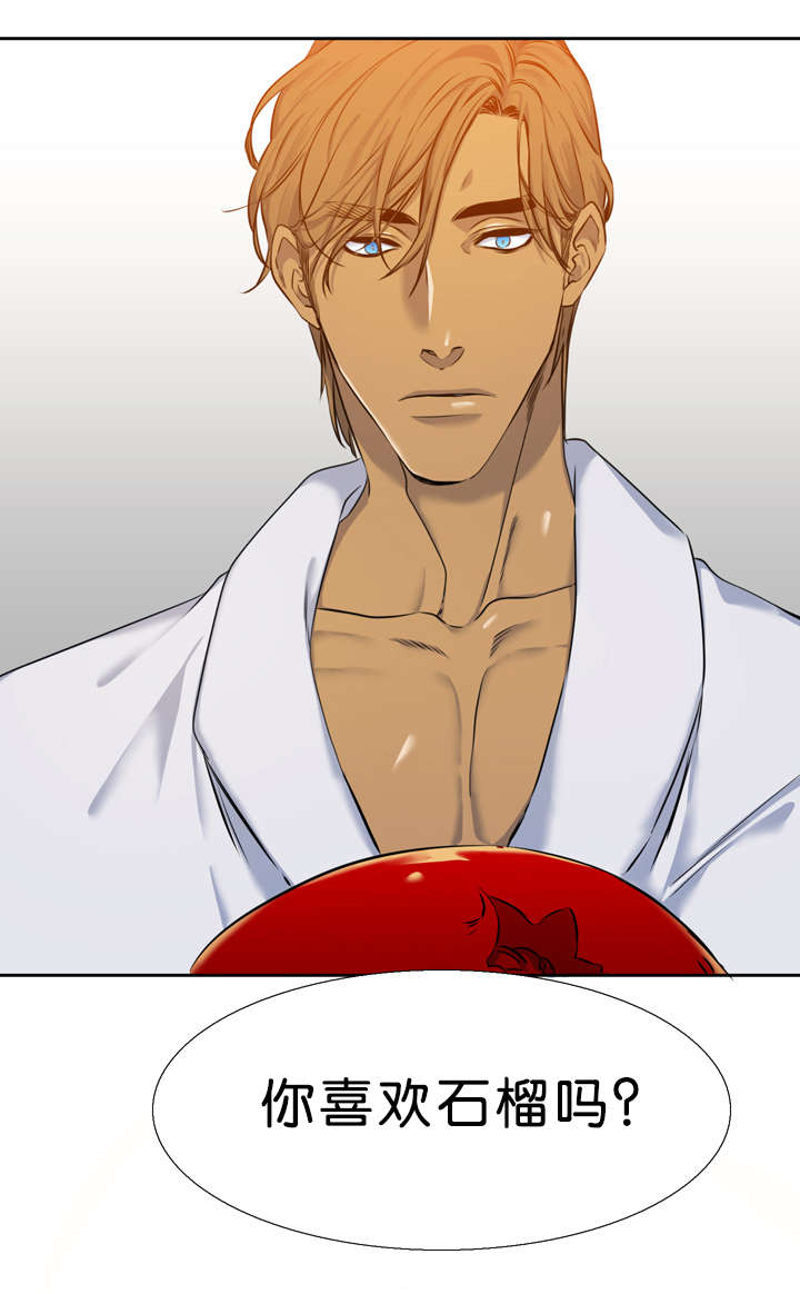 青鹤漫画,第33章：石榴4图