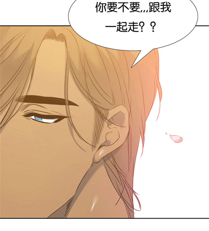 青鹤漫画,第50章：收养的故事3图