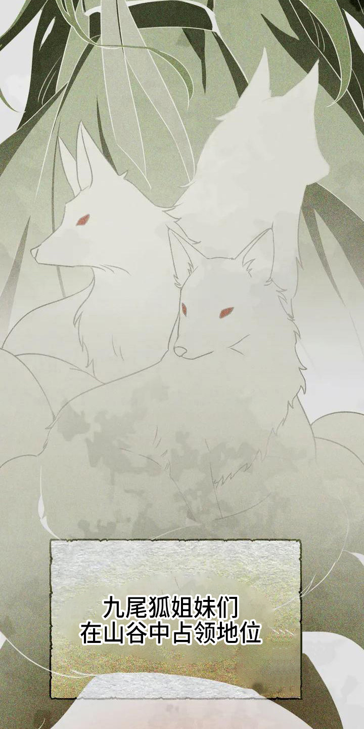 狐仙之恋漫画,第1章：九尾狐3图