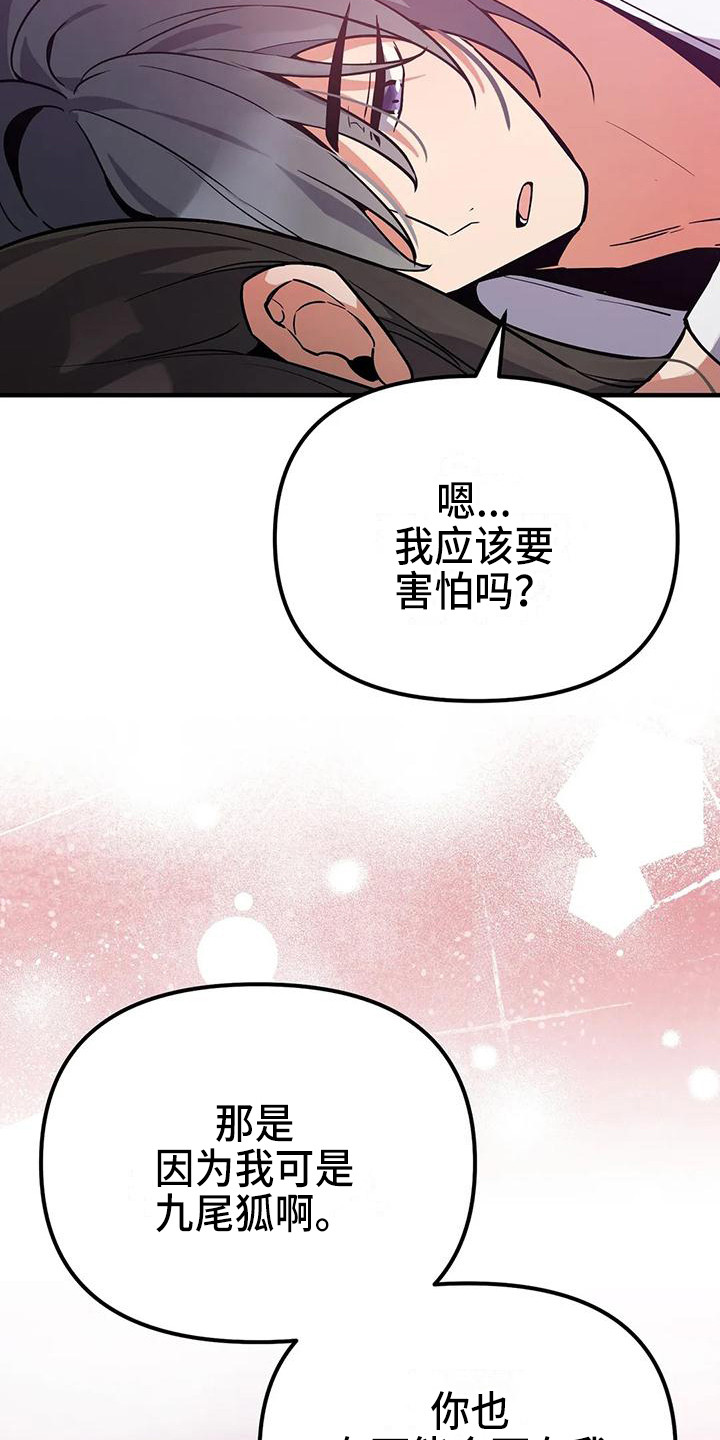 狐仙之恋漫画,第13章：夜空3图