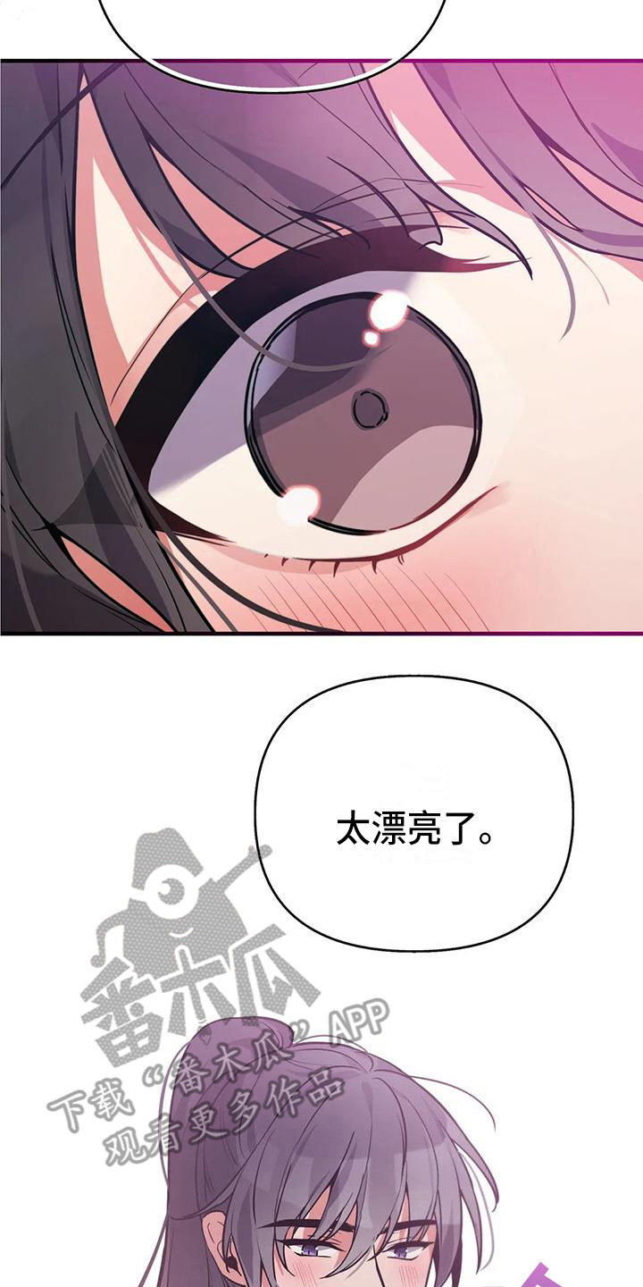 狐仙之恋爱入门漫画,第13章：夜空5图