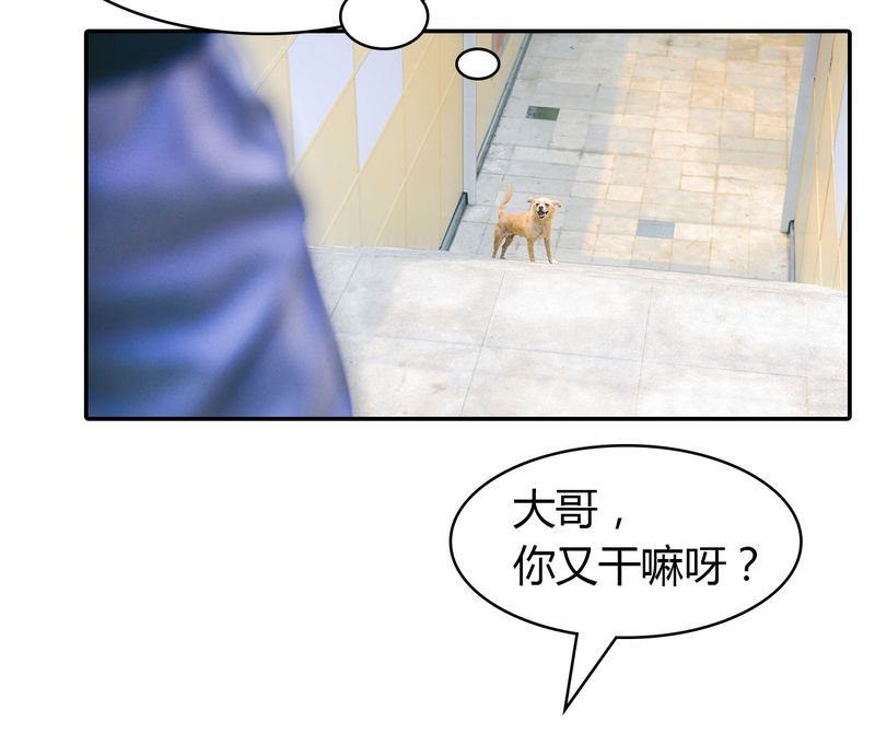 合约害死人漫画,第4章：逃学有毒4图