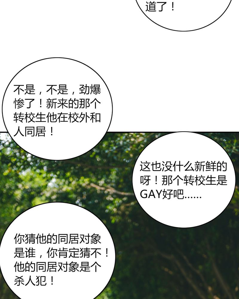 合约有毒漫画,第36章：谣言有毒2图