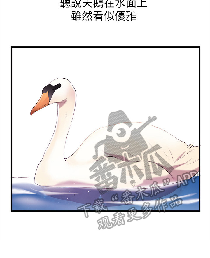 职场主管介绍自己漫画,第2章：代主播4图