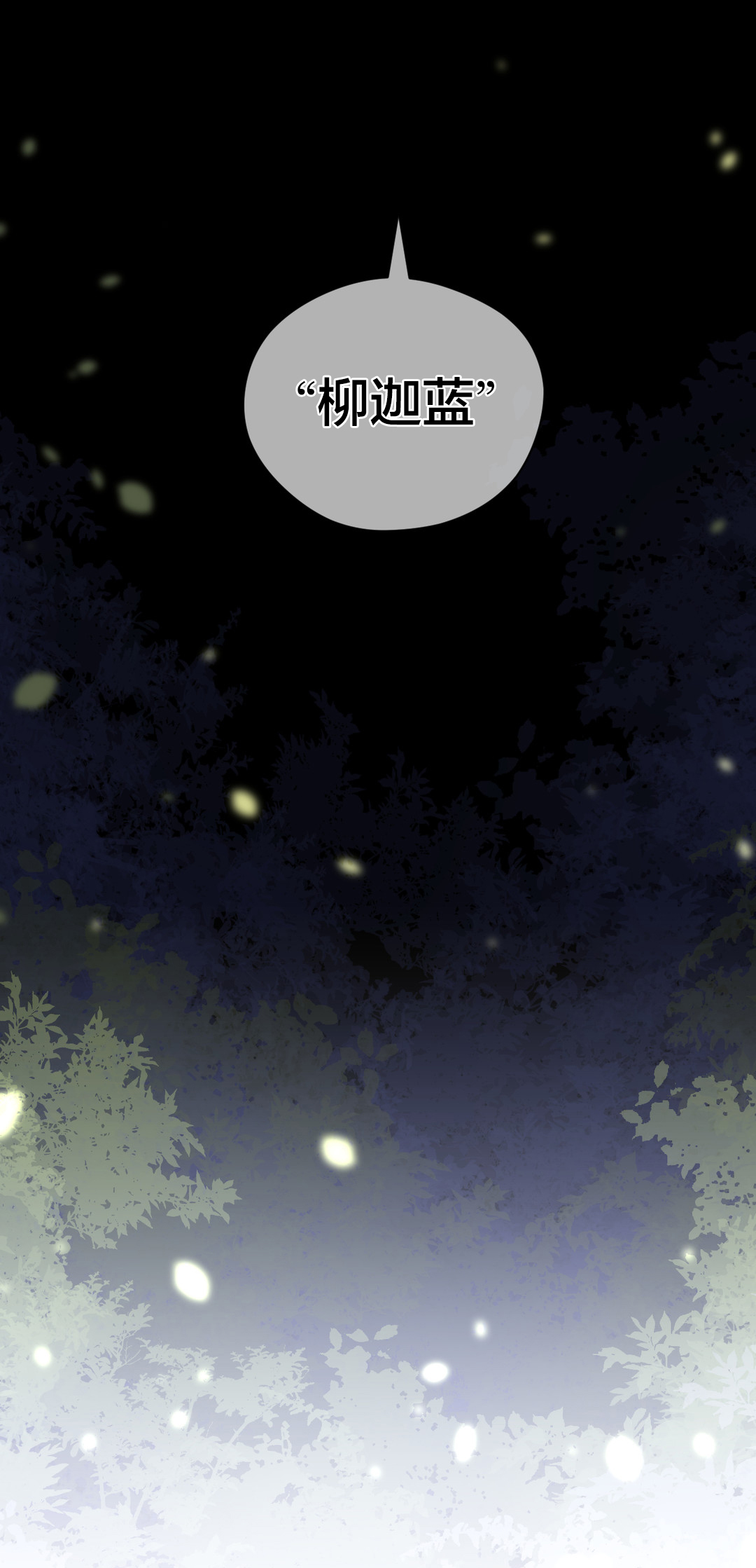 第5章：柳迦蓝2