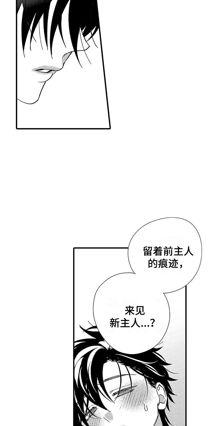 甜与痛的治疗漫画,第4章：命令词5图