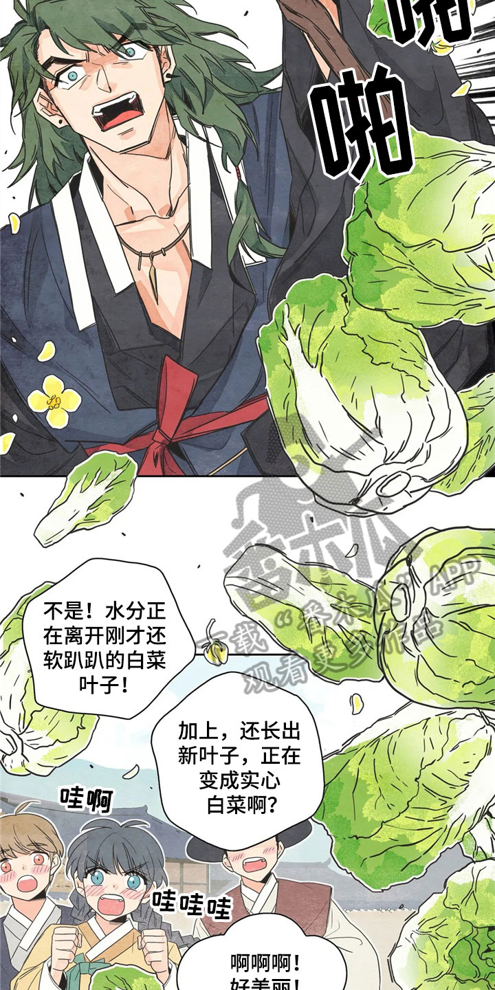 灵感与期待漫画,第35章：萝卜与白菜：泡菜神4图