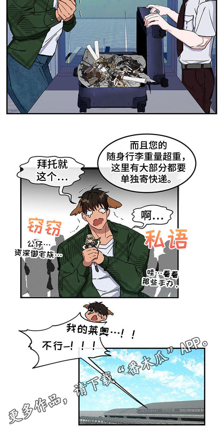 灵感与期待漫画,第16章：空乘服务：旅行准备5图