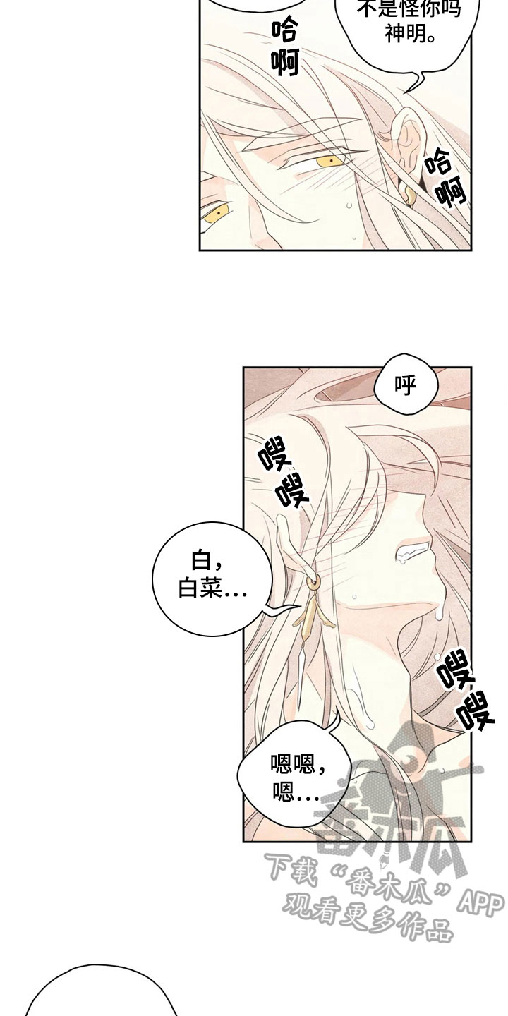 灵感与期待漫画,第38章：萝卜与白菜：丰收5图