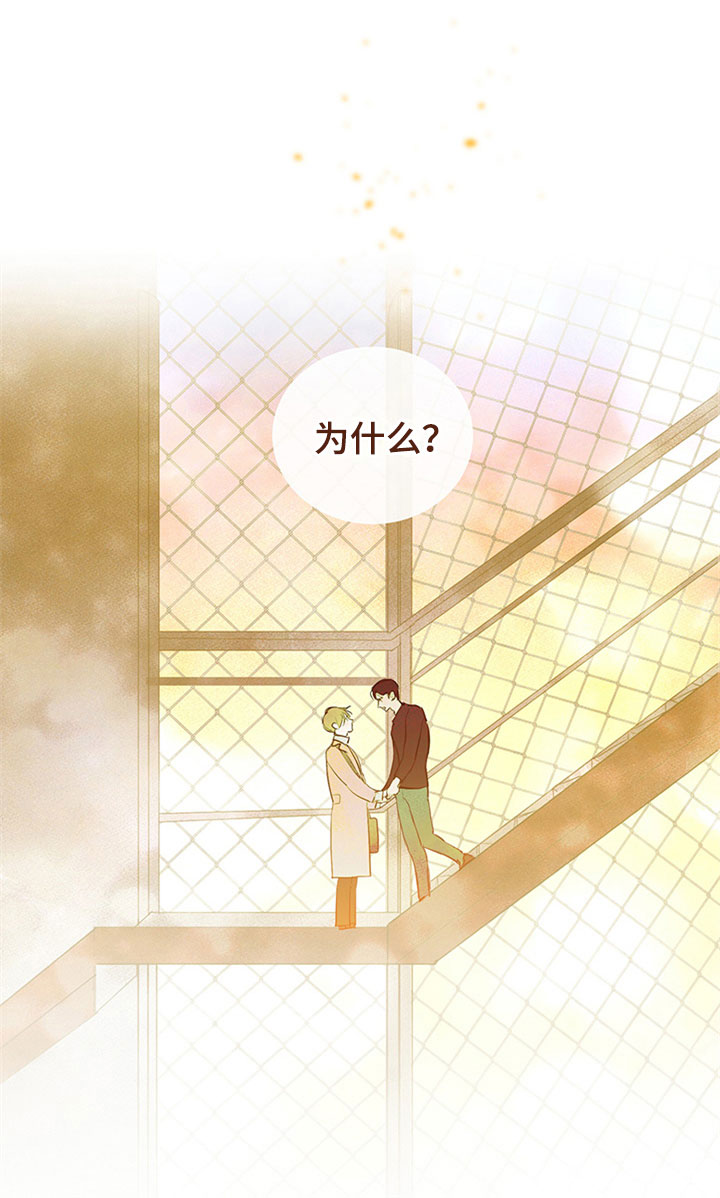 灵感与期待漫画,第30章：新古董伙伴：更进一步4图