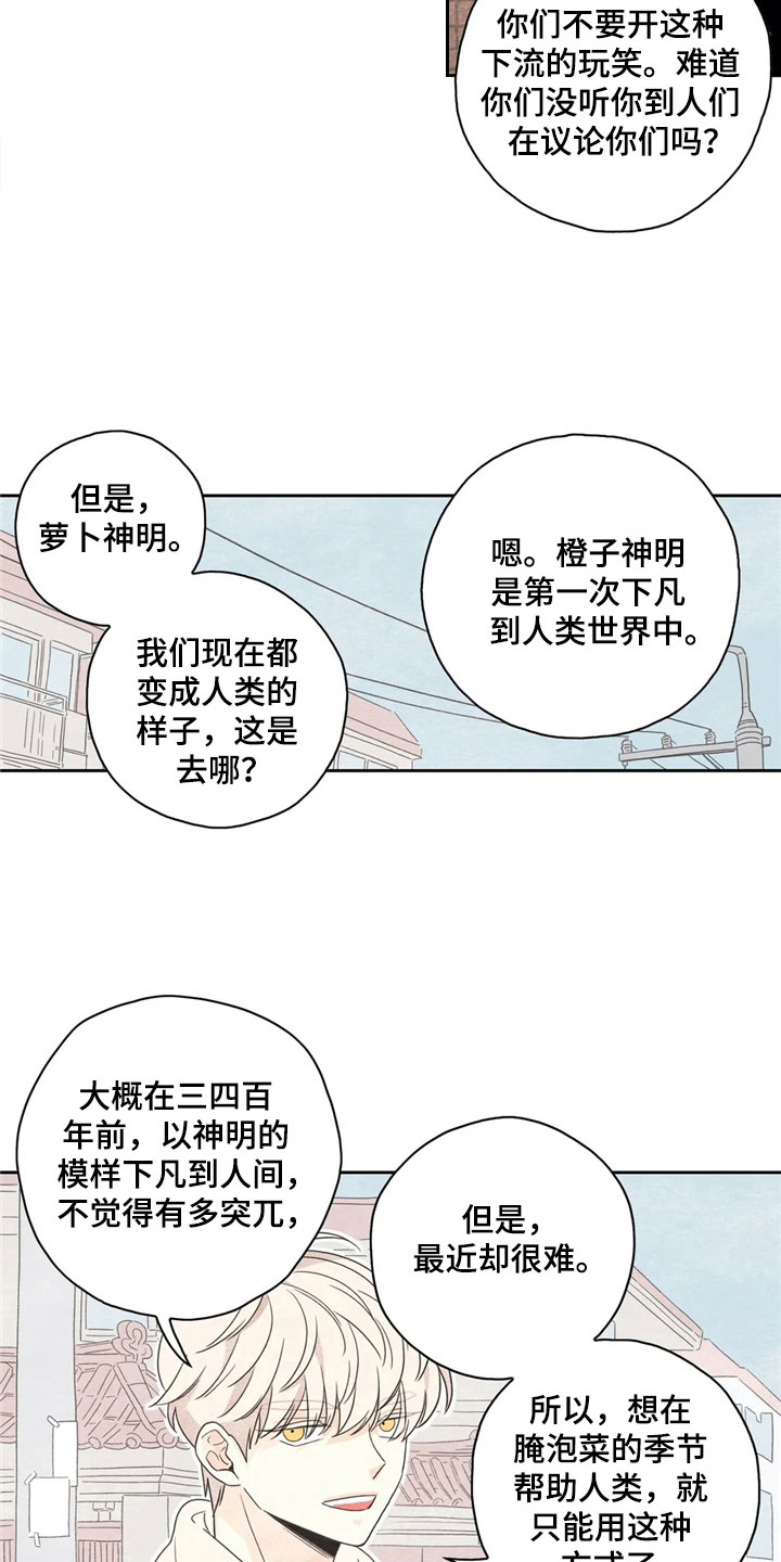 灵感与期待漫画,第38章：萝卜与白菜：丰收2图