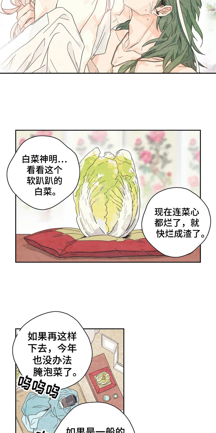 灵感与期待漫画,第35章：萝卜与白菜：泡菜神4图
