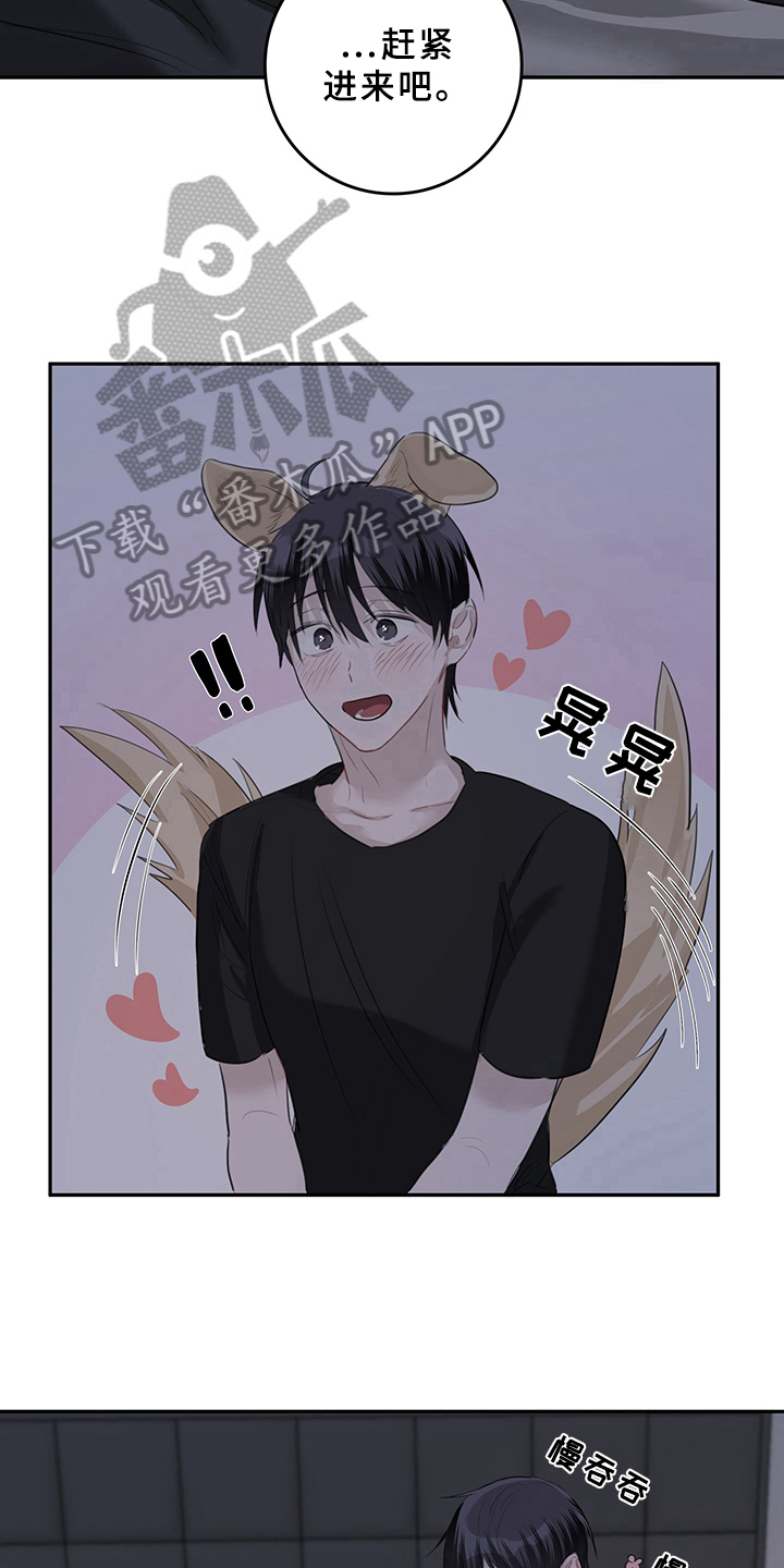 灵感与期待漫画,第6章：天降男友：不客气5图